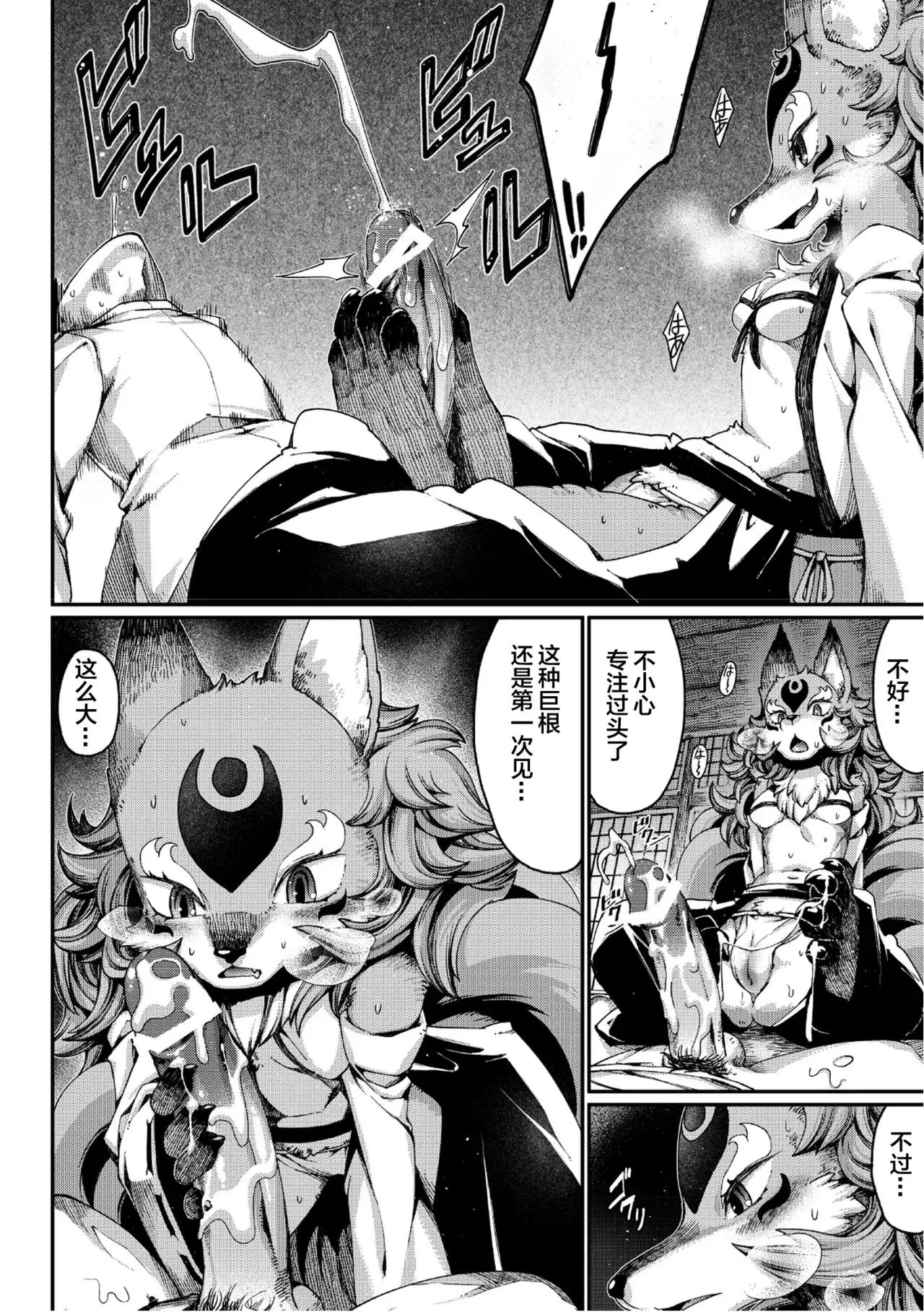 Image #12