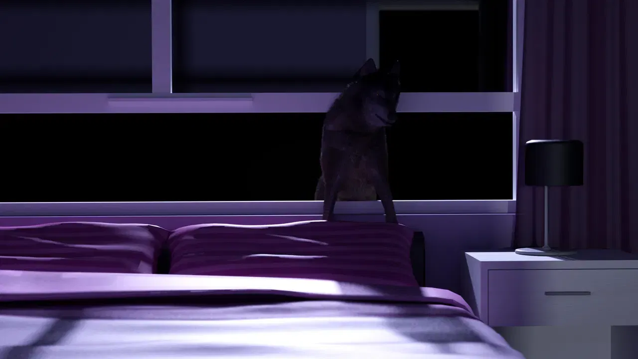 Image #247