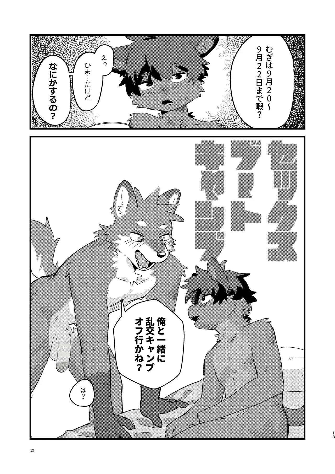 Image #12