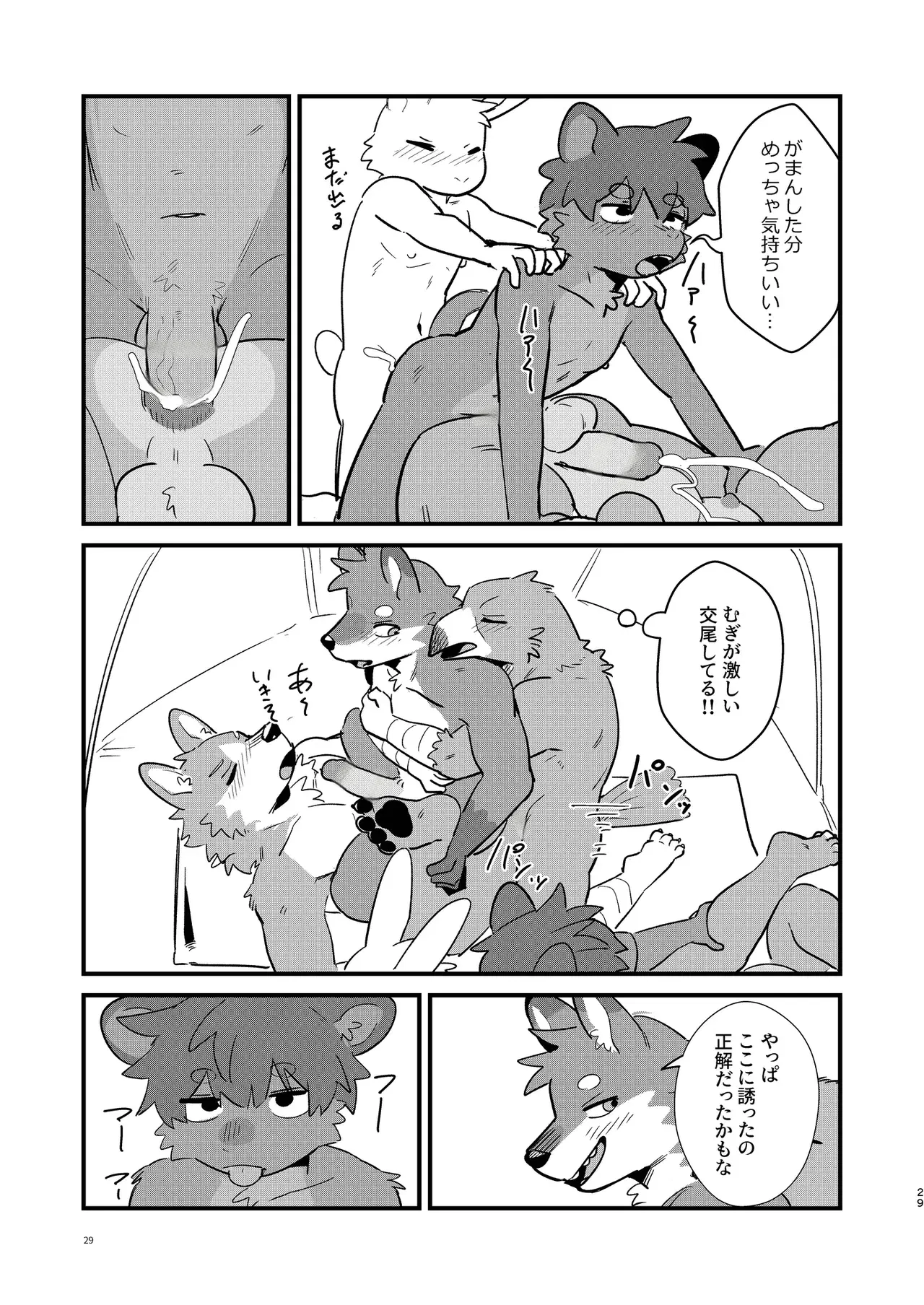 Image #27