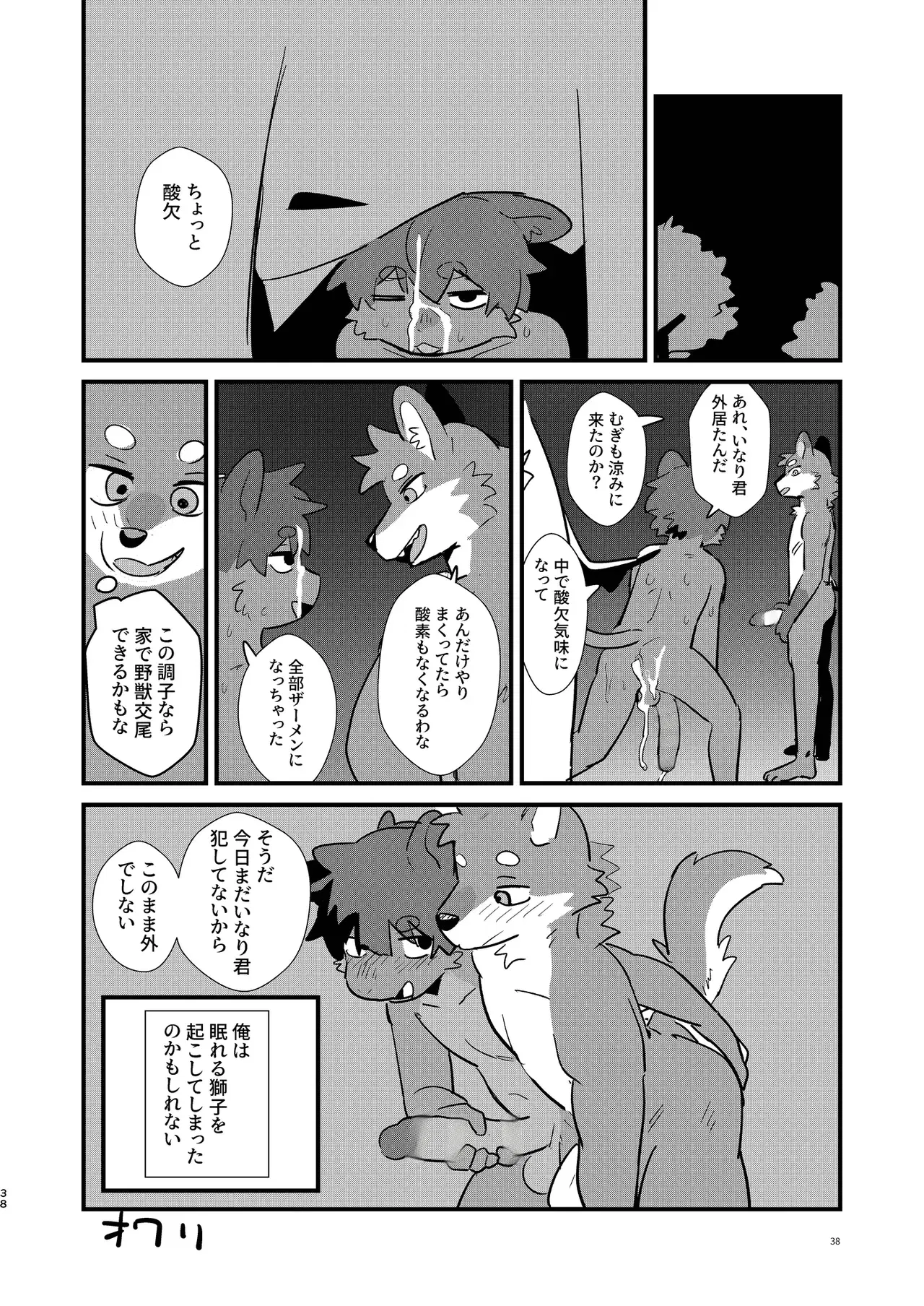 Image #36