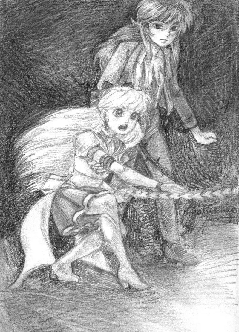 Image #16