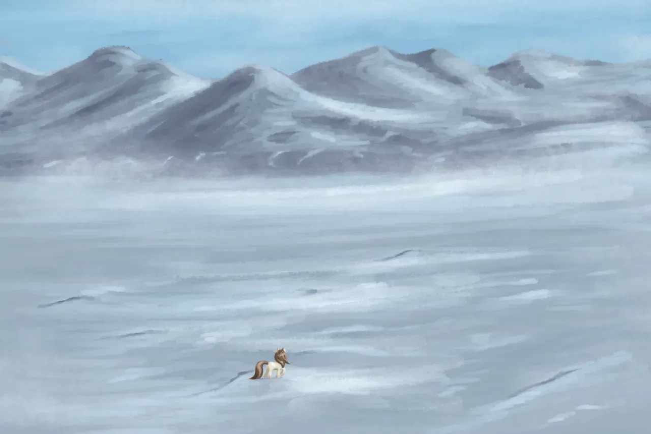 Image #13