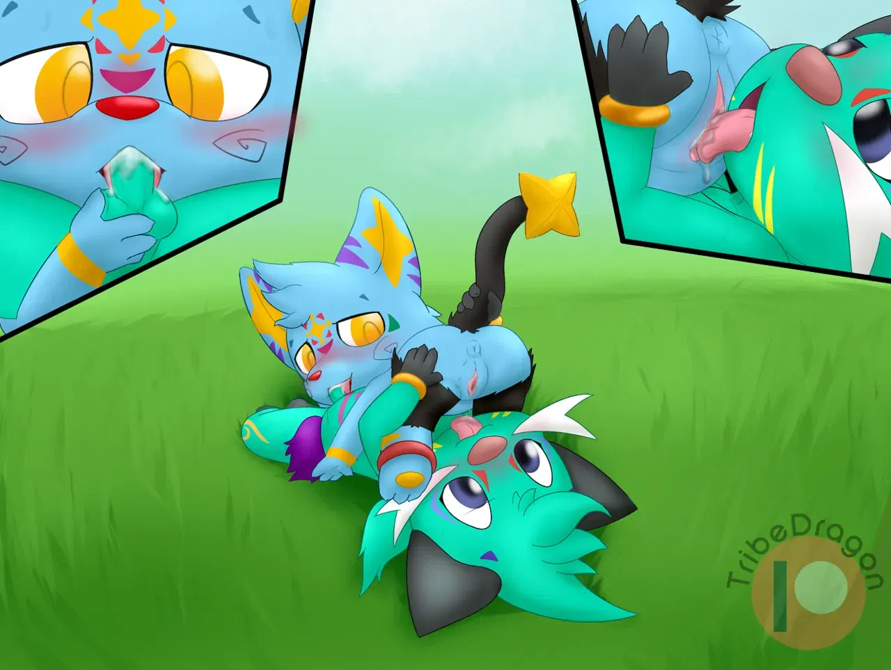Image #11