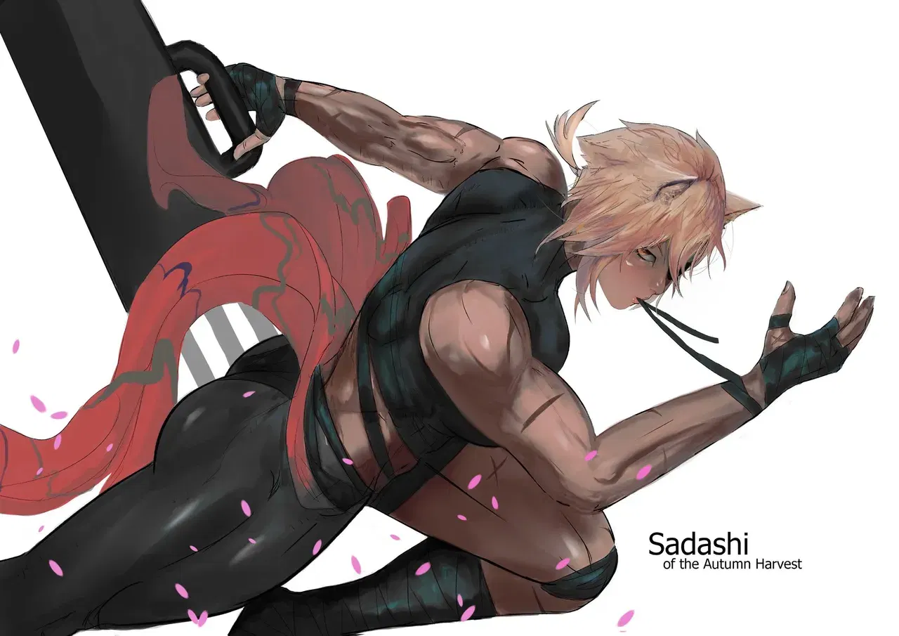 Image #13
