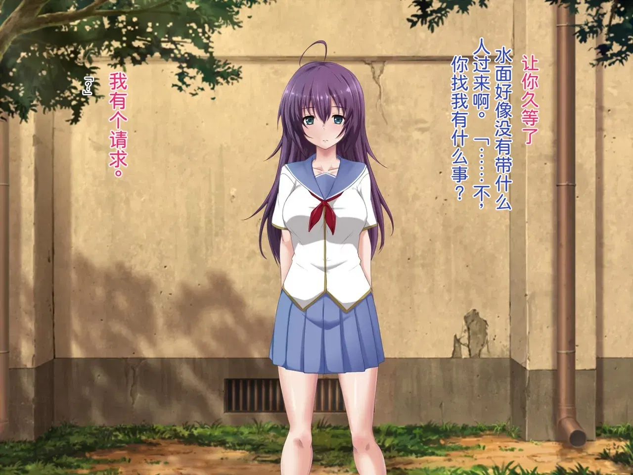 Image #41