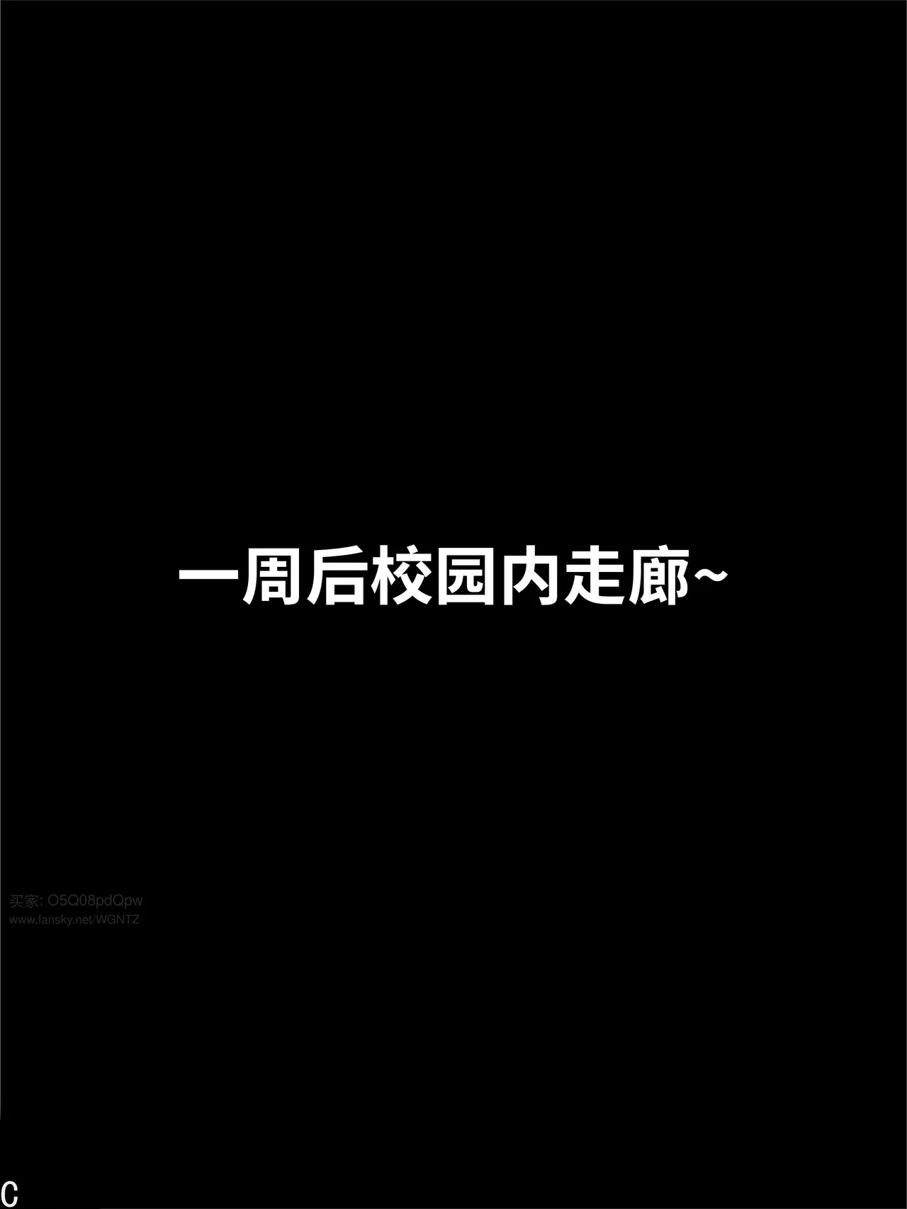 Image #13