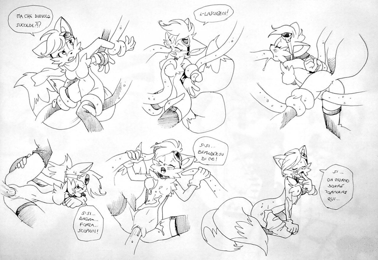Image #26