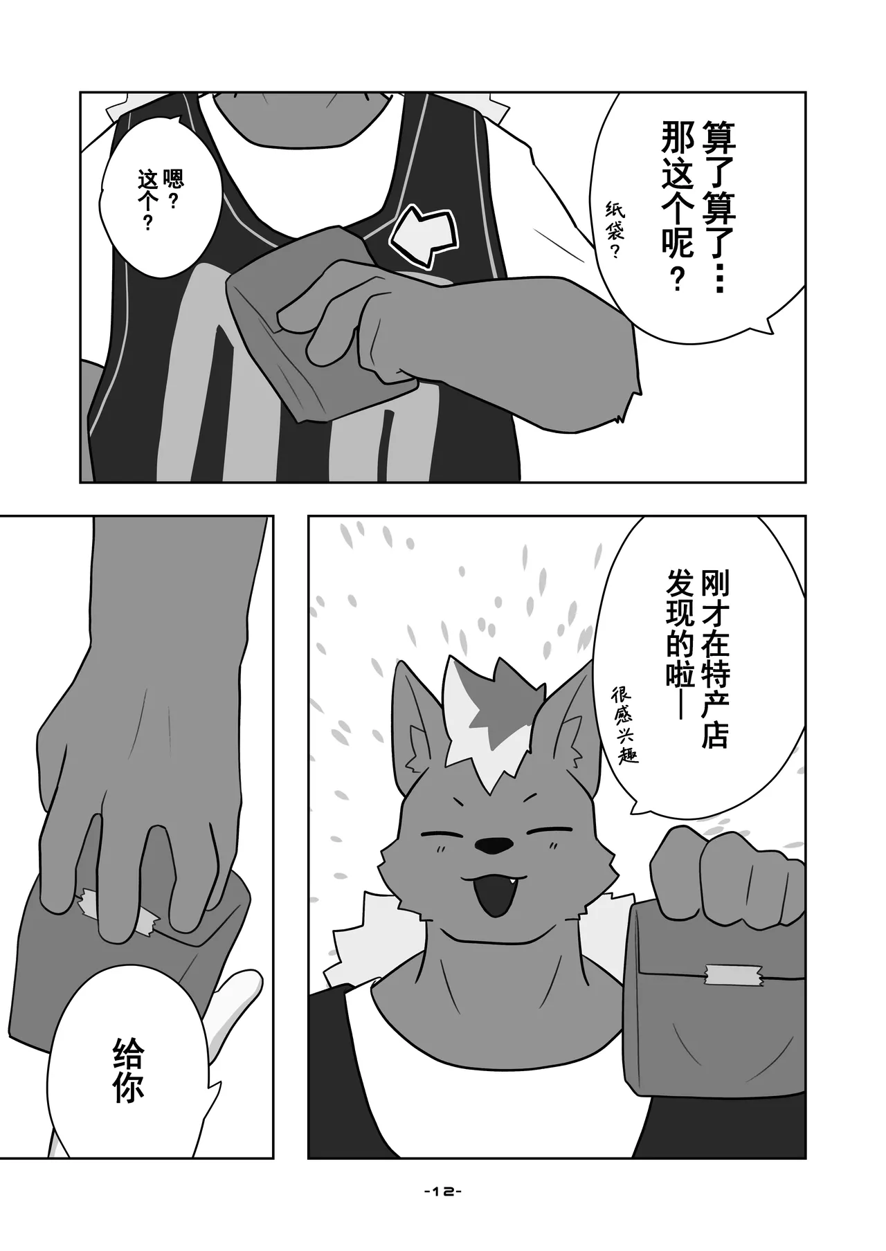 Image #12