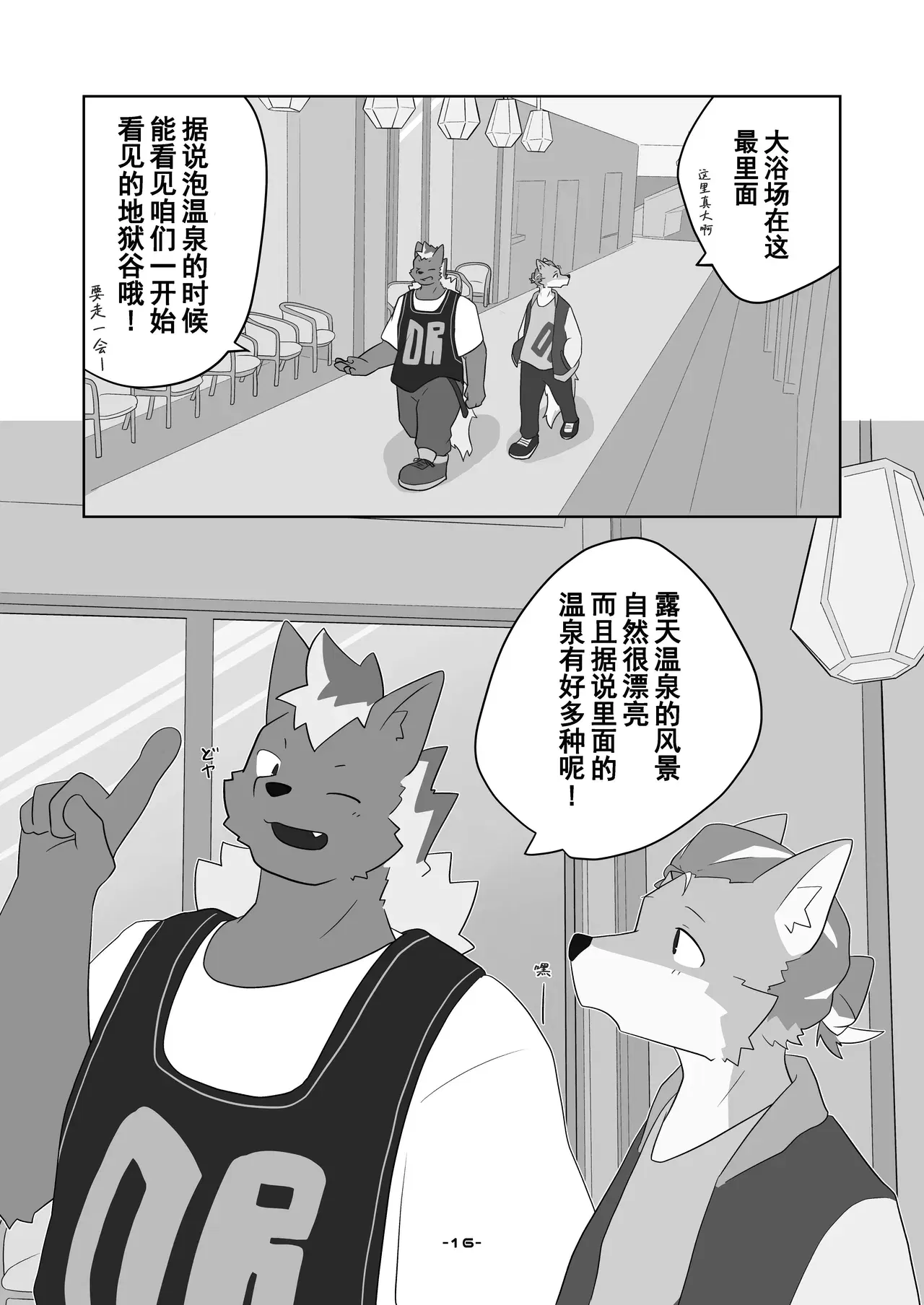 Image #16