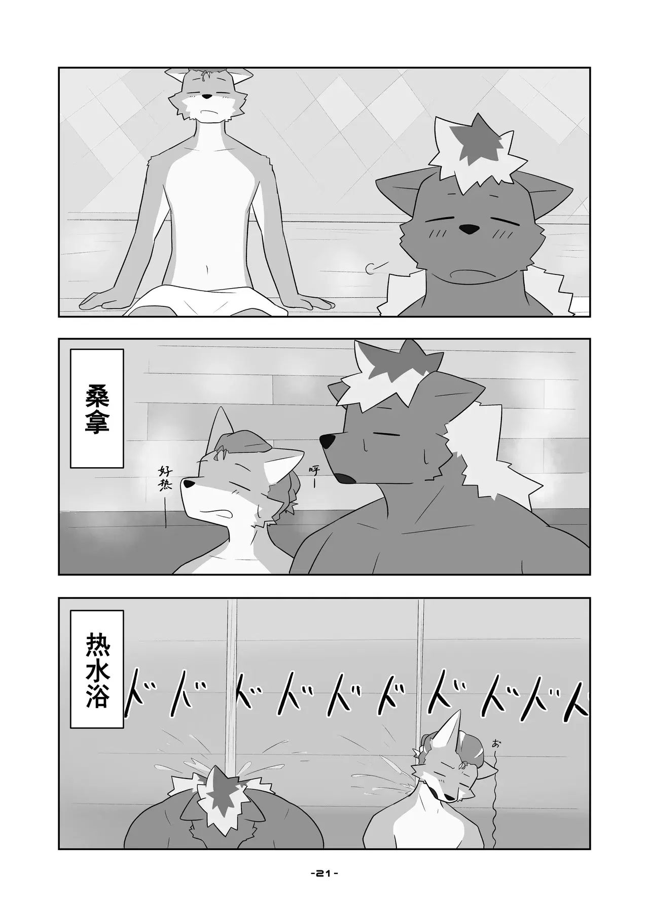 Image #21