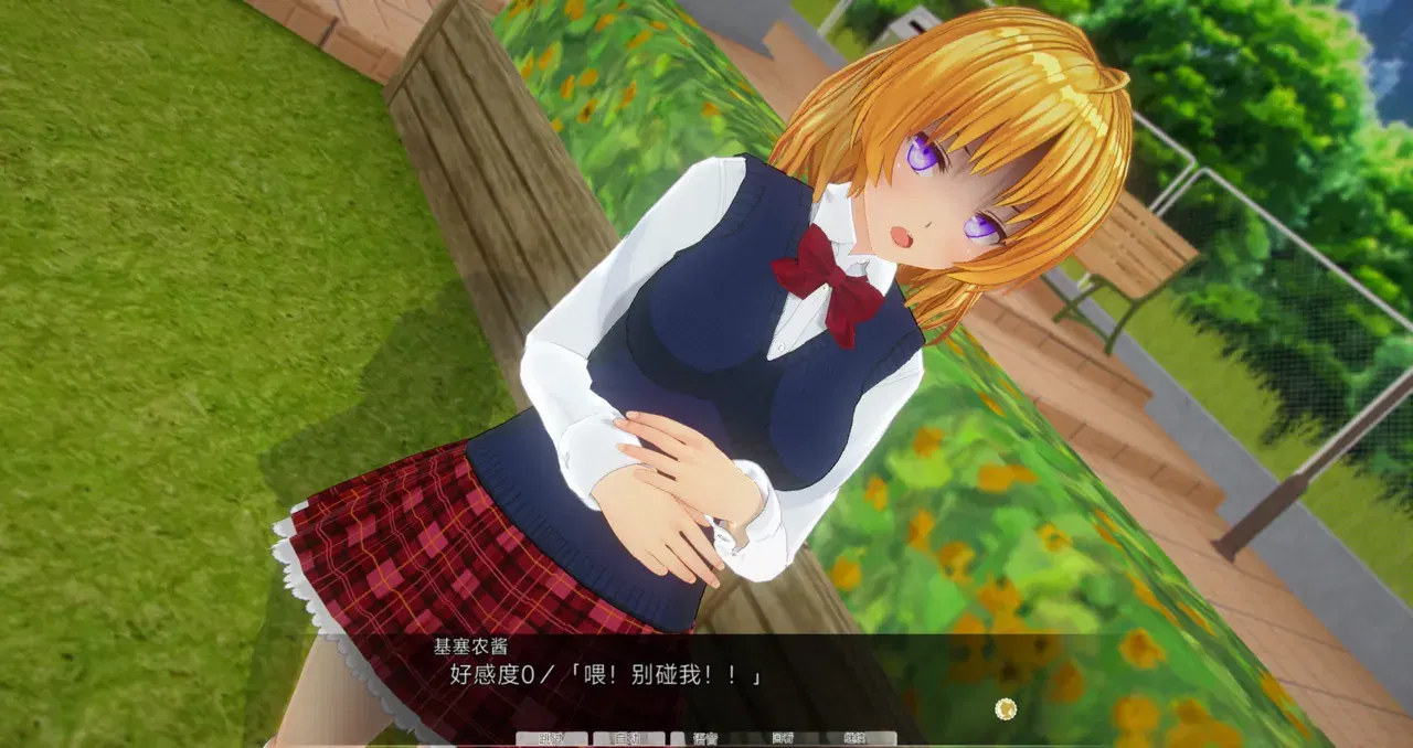 Image #12
