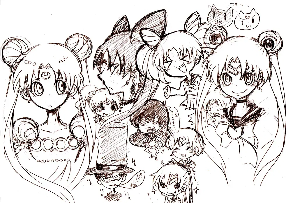 Image #12