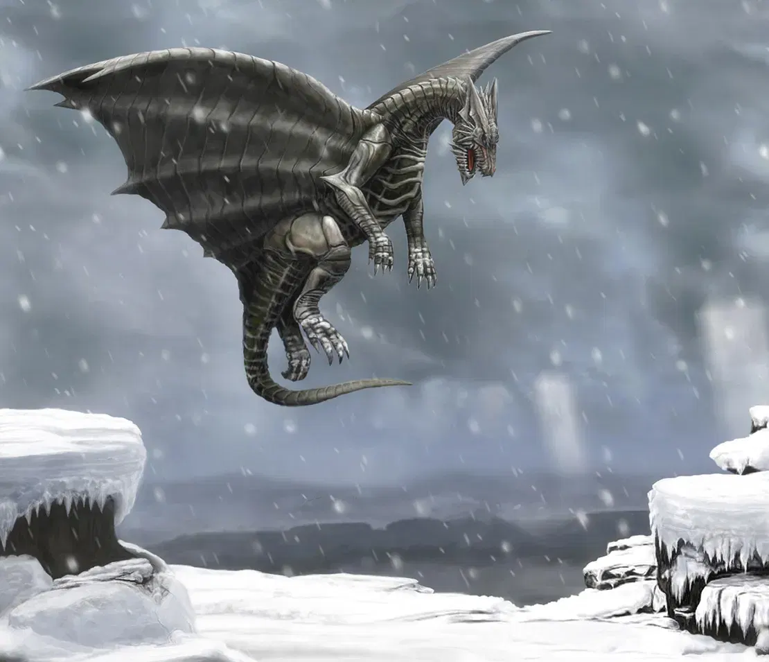 Image #18