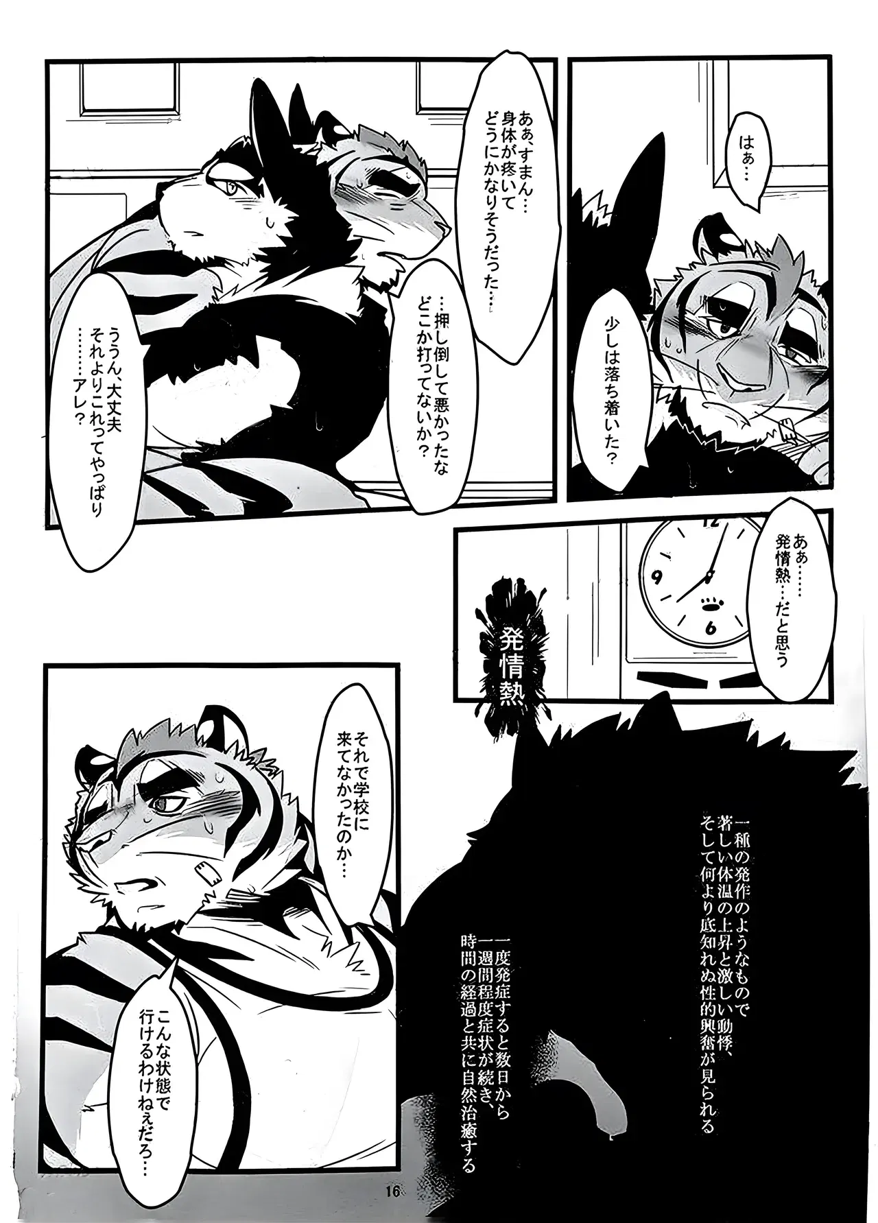 Image #15