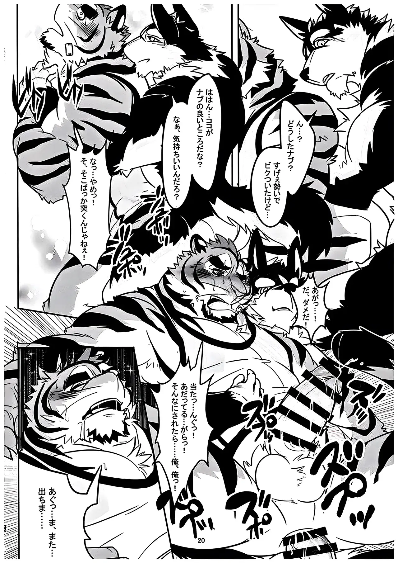 Image #19