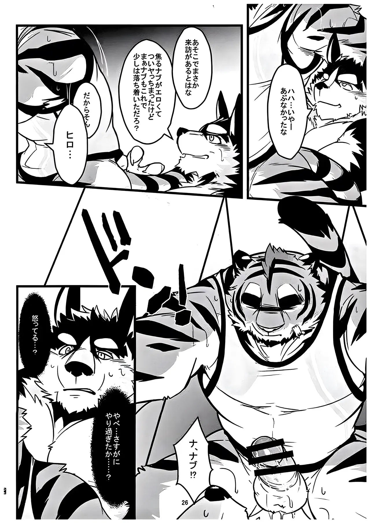 Image #25