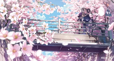 カントク2018.05-2026.03 - Hentai Gallery