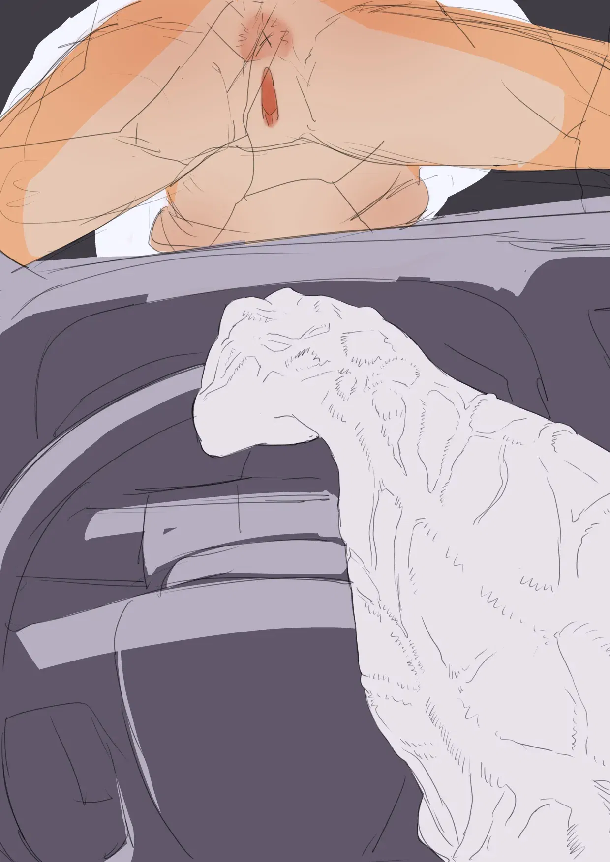 Image #9