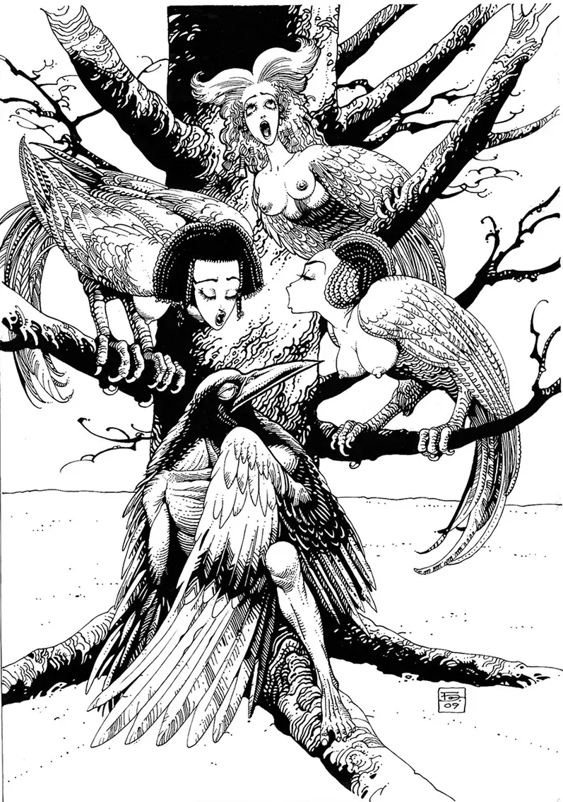 Image #12