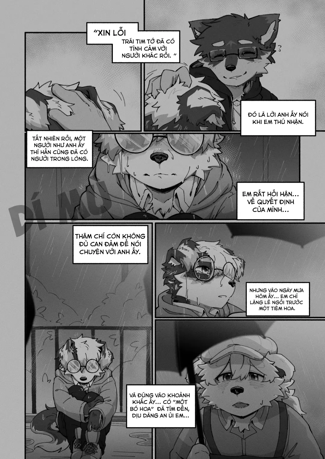 Image #14