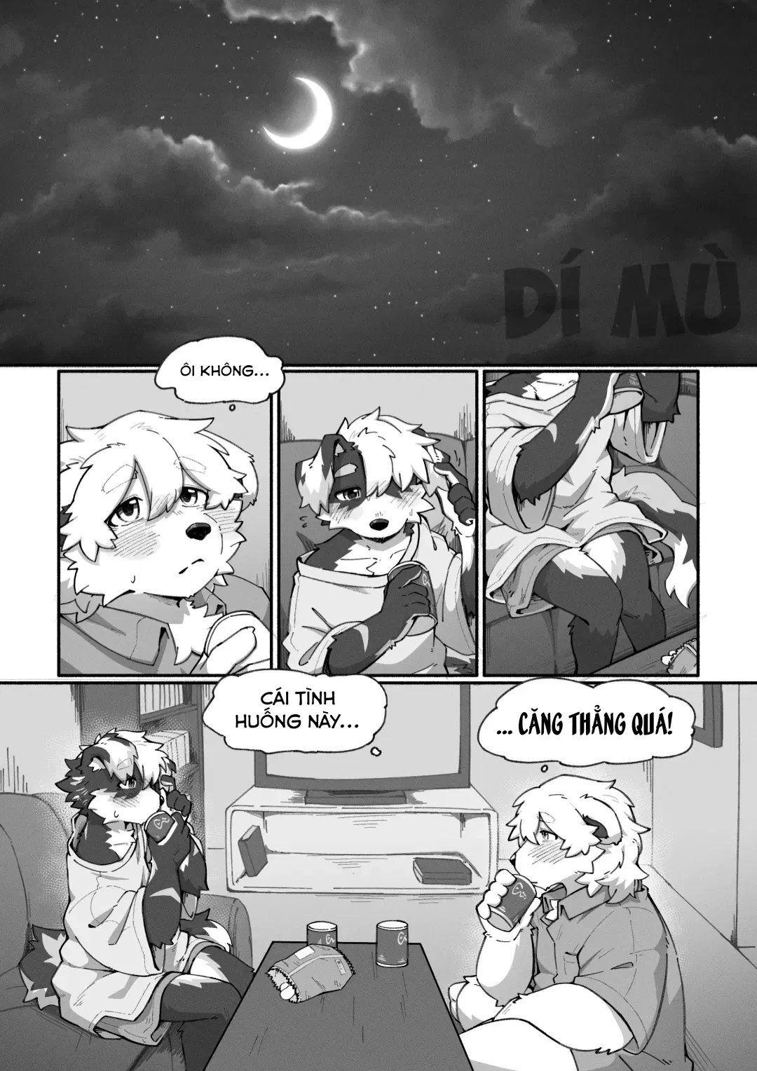Image #17
