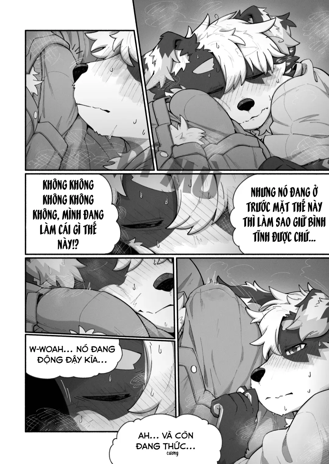 Image #26