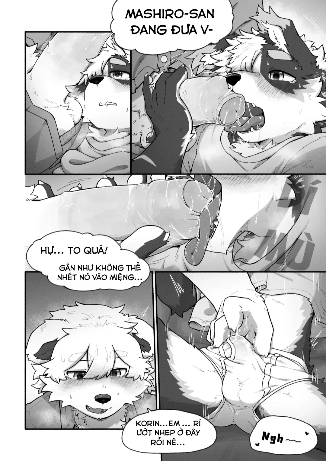 Image #32