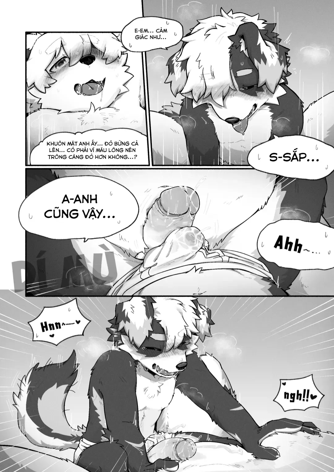 Image #38