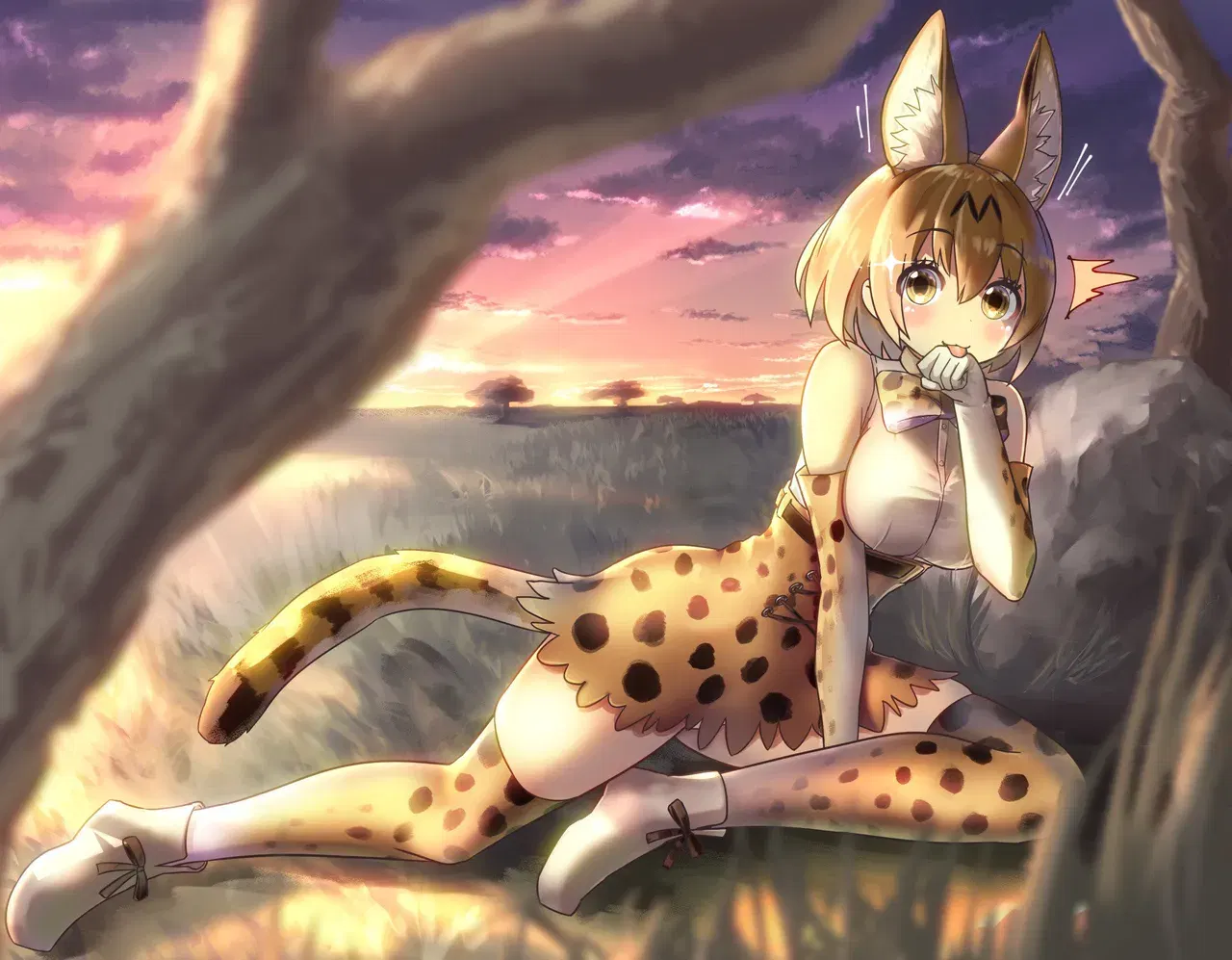 Image #433