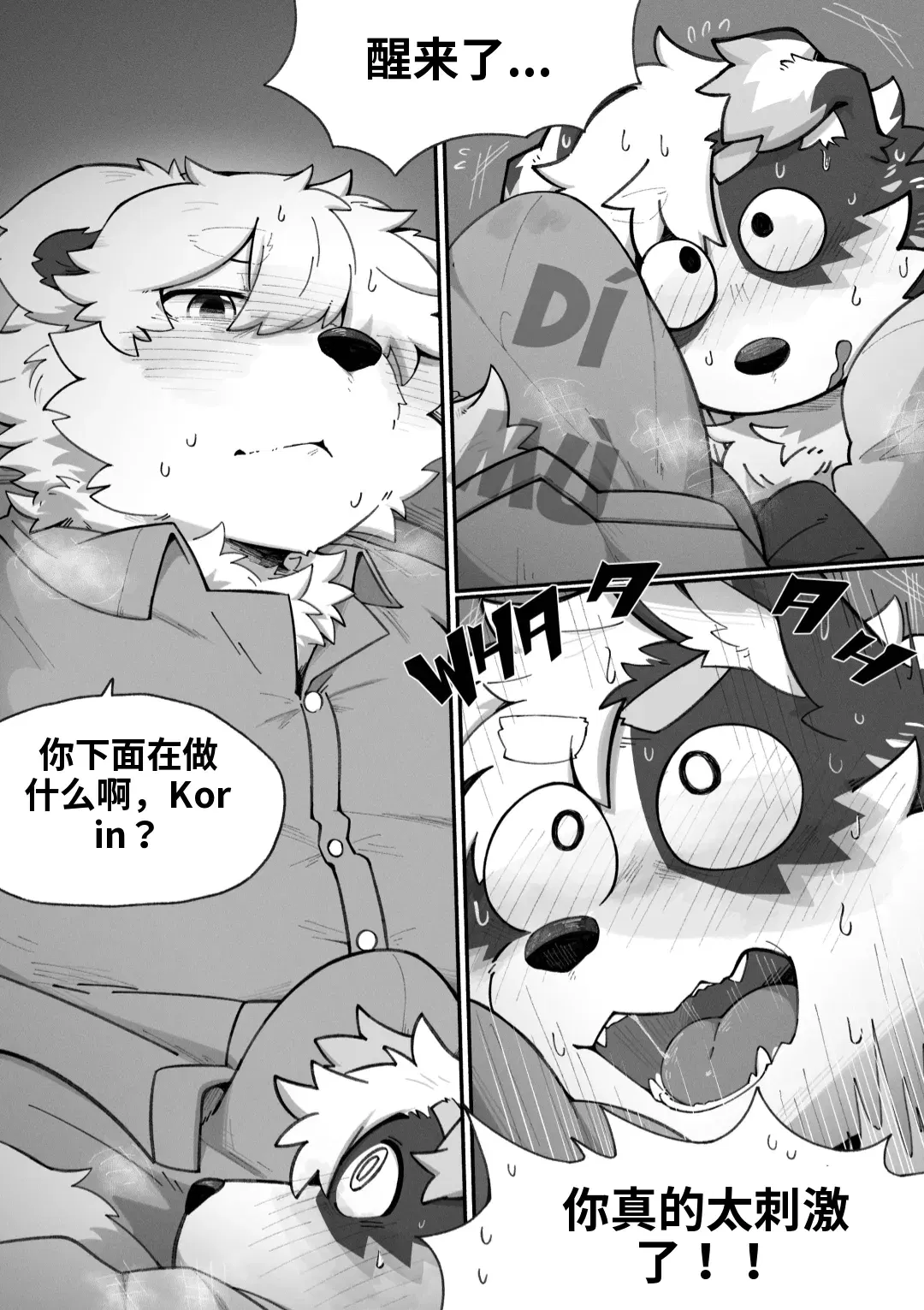 Image #27