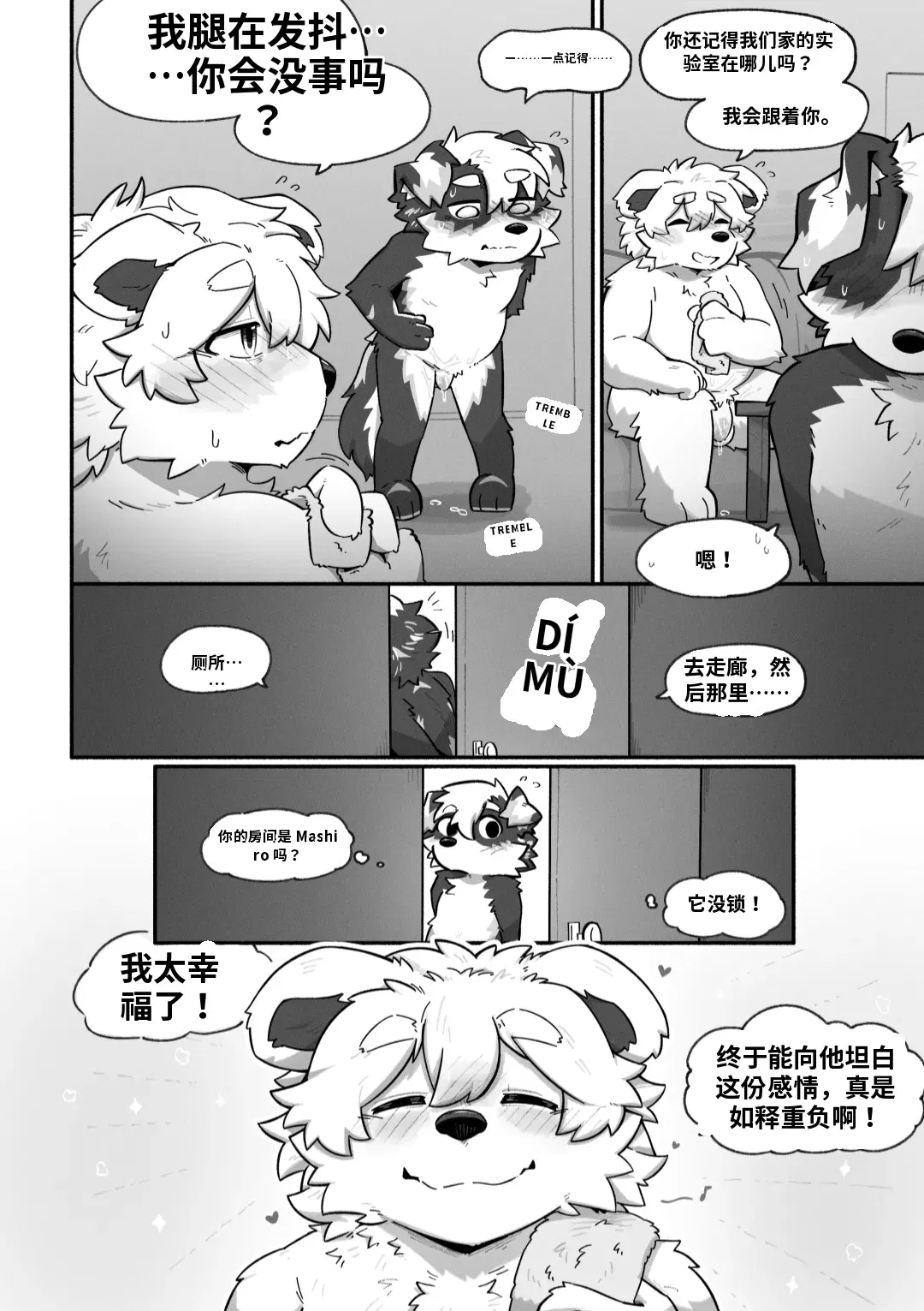Image #52
