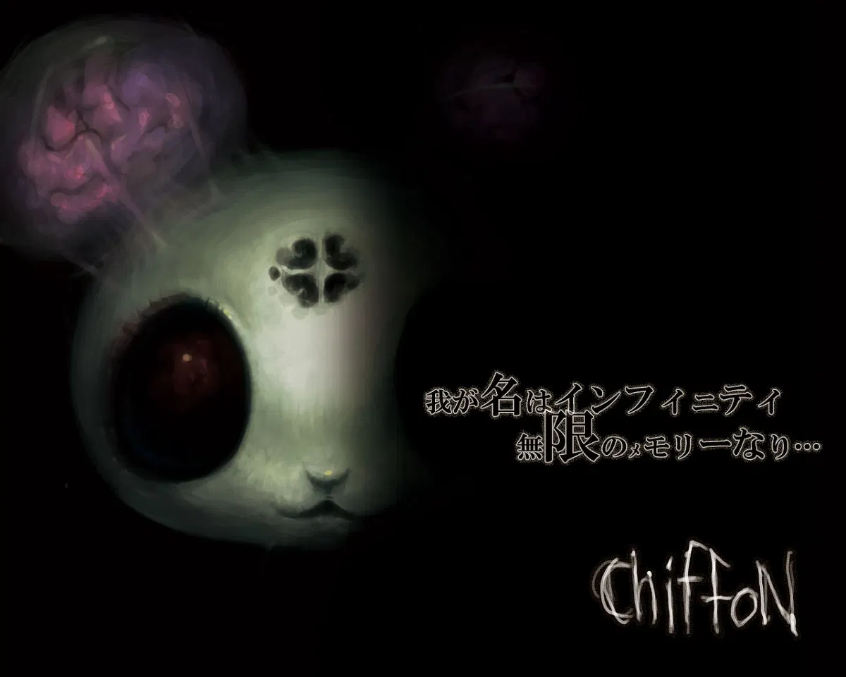 Image #41