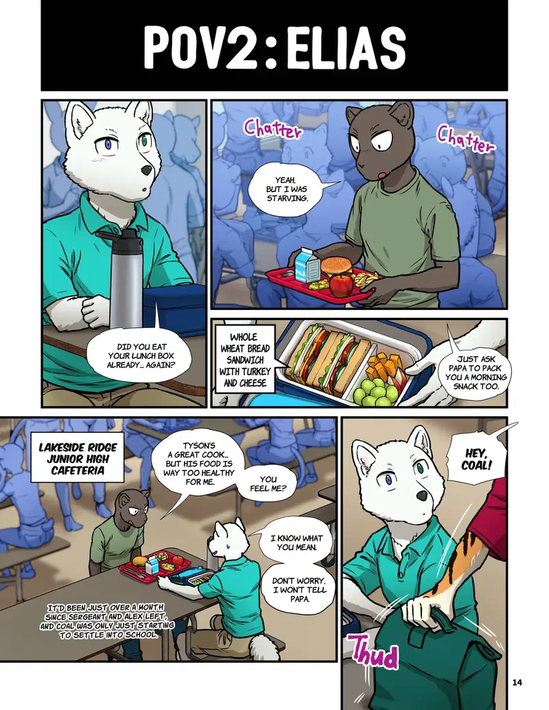 Image #12