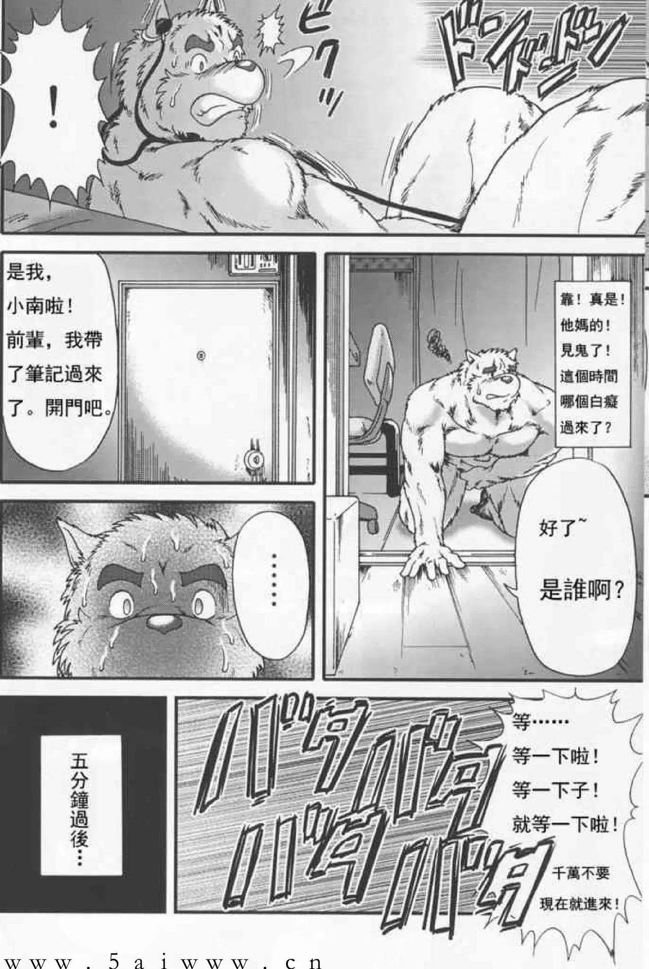 Image #11