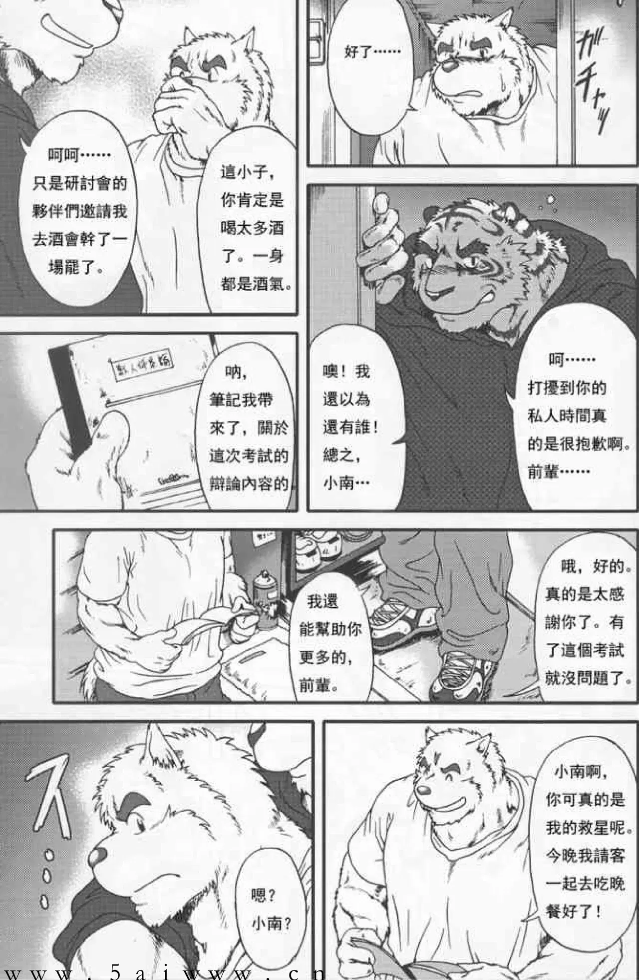 Image #12