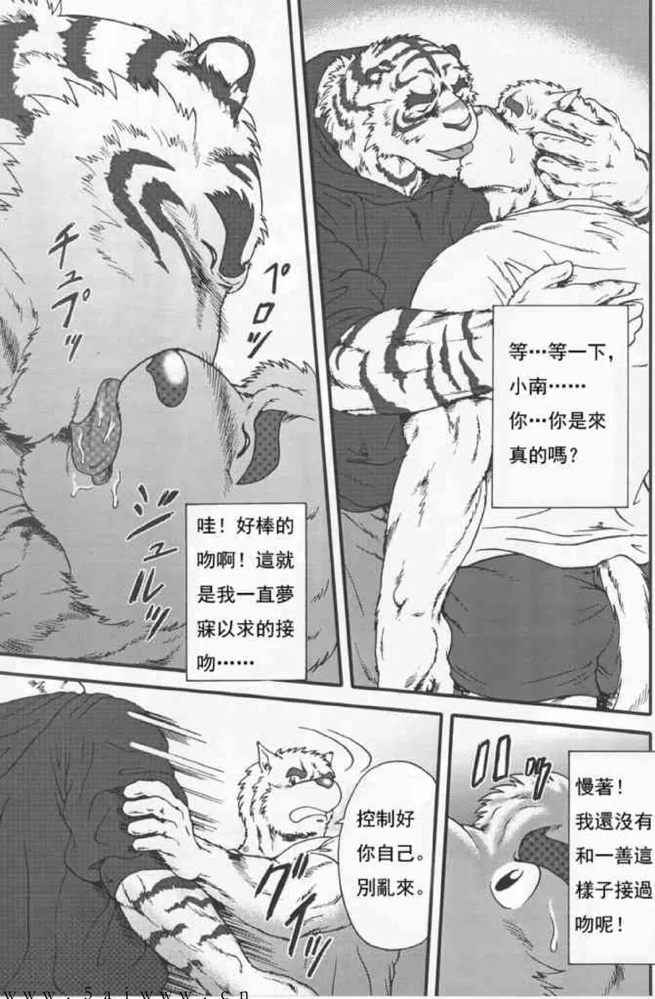 Image #14