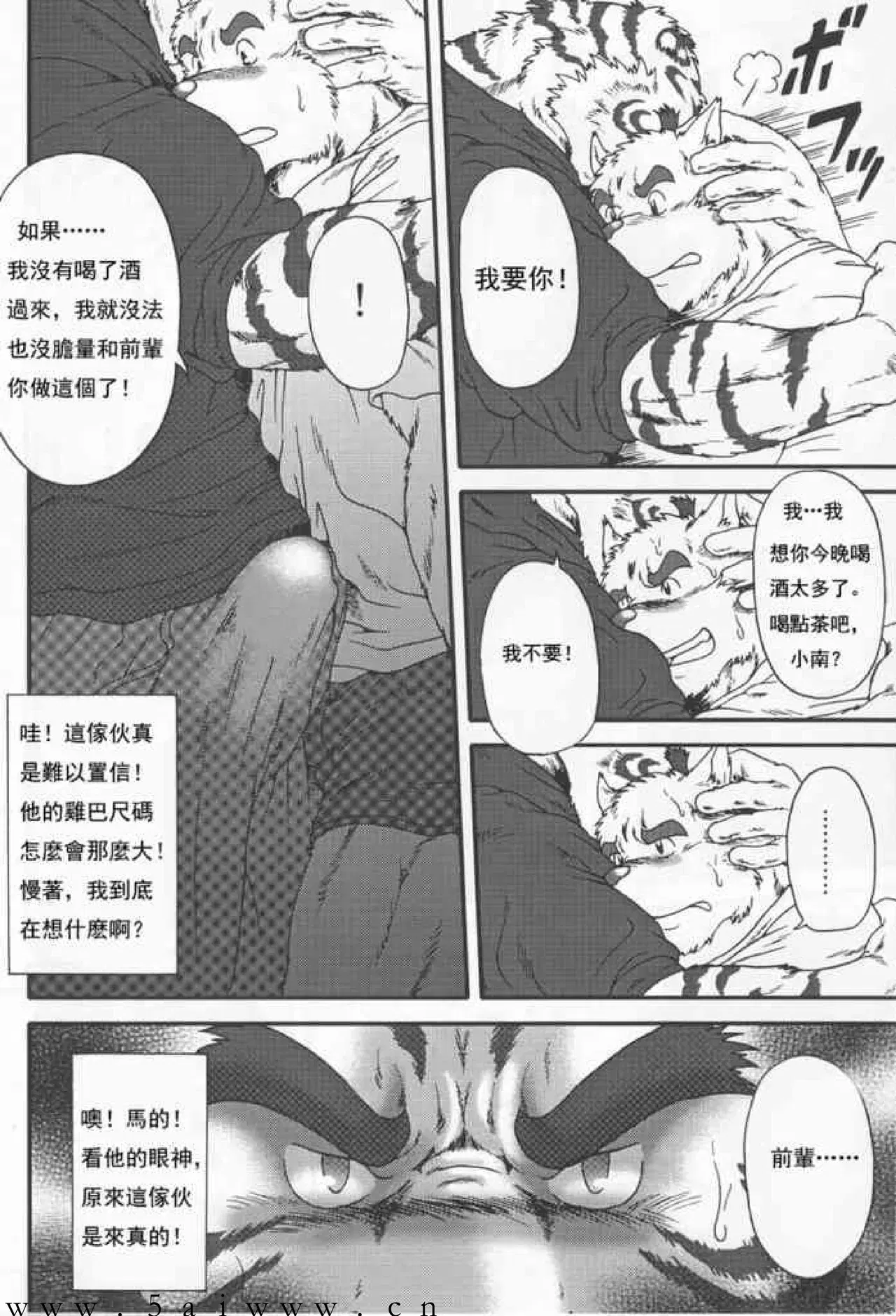 Image #15