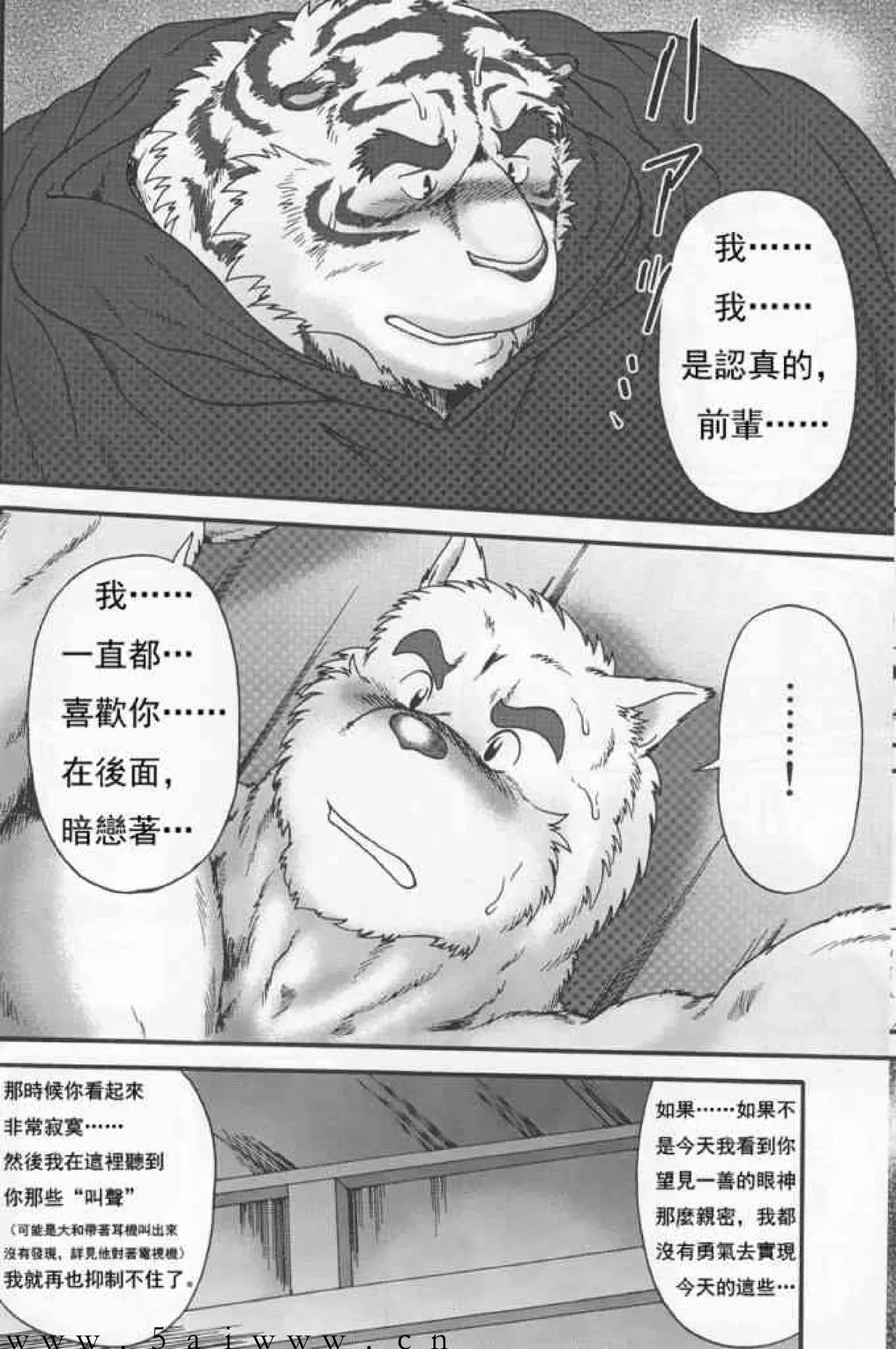 Image #17
