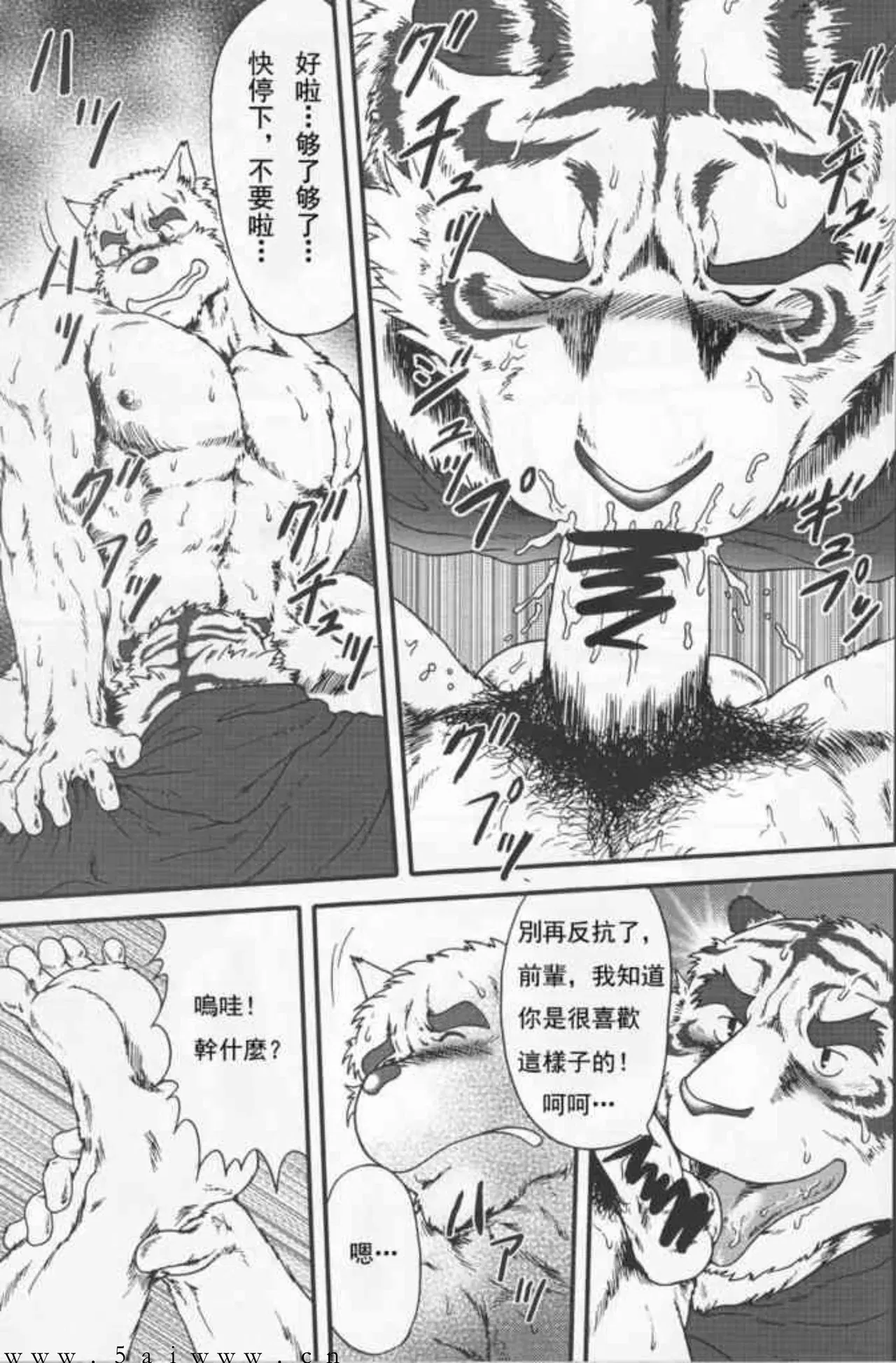 Image #22