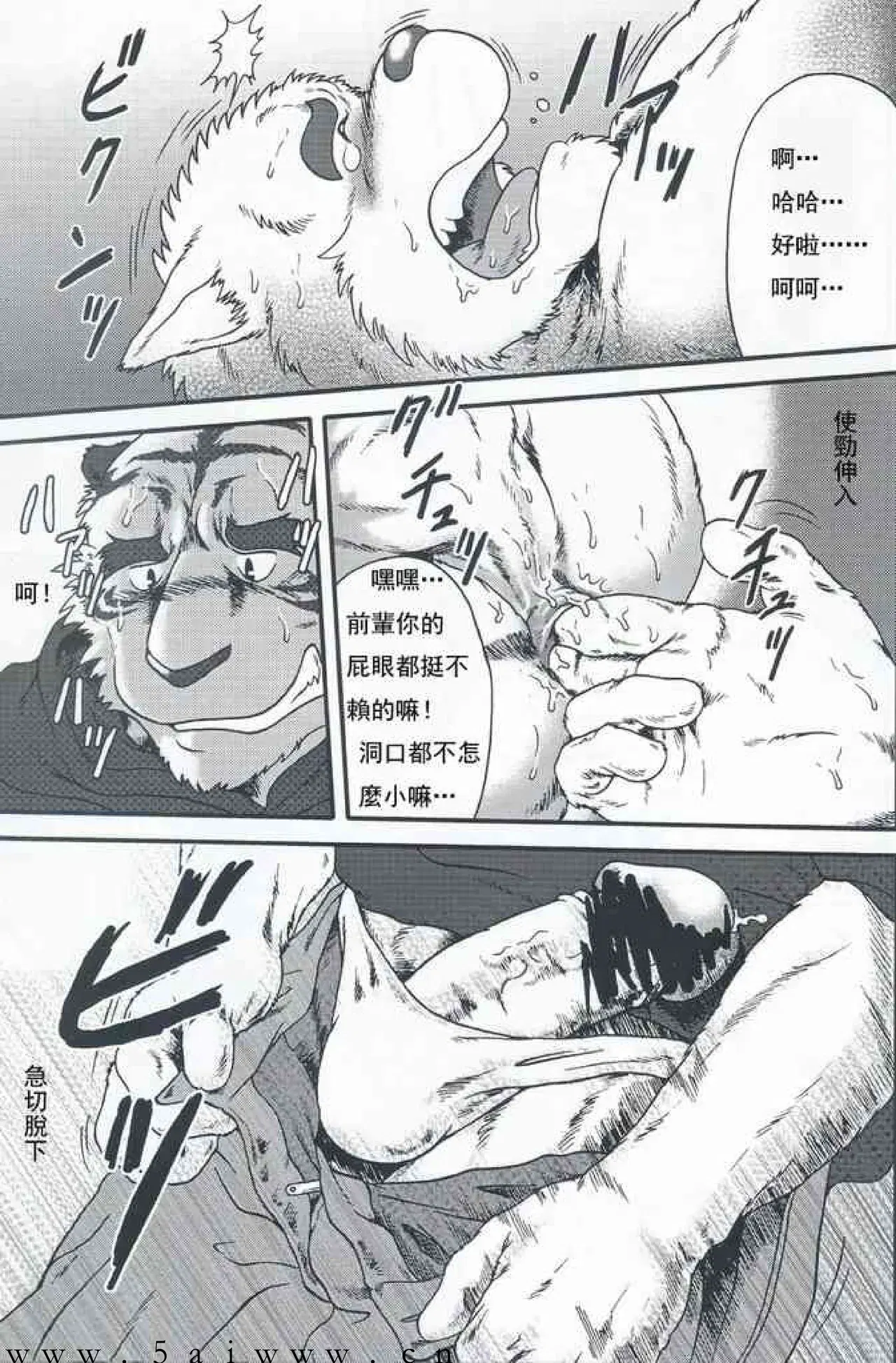 Image #24