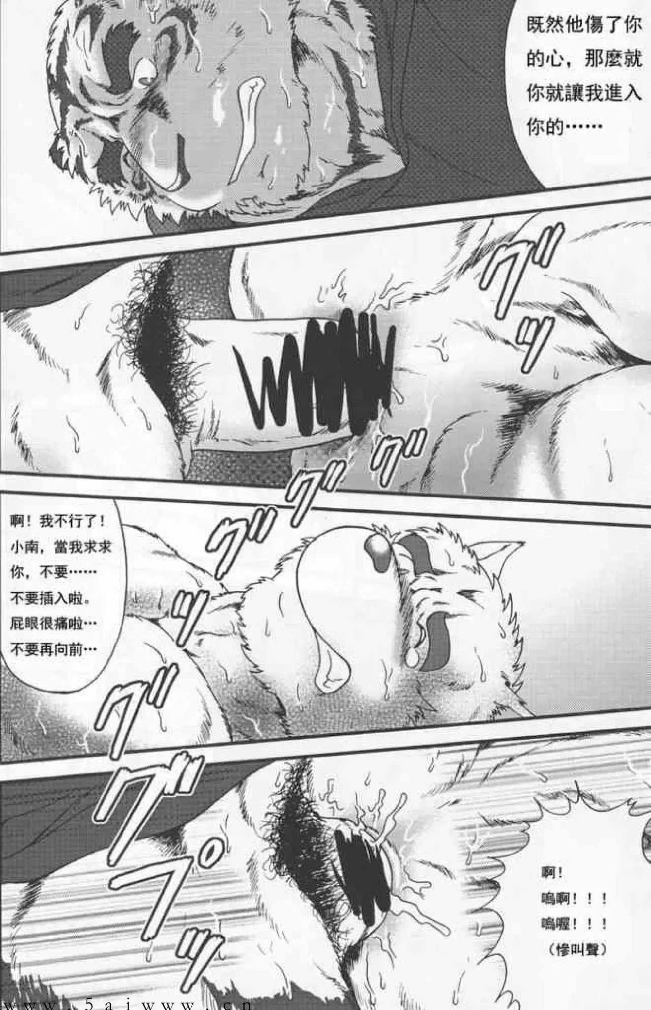 Image #27