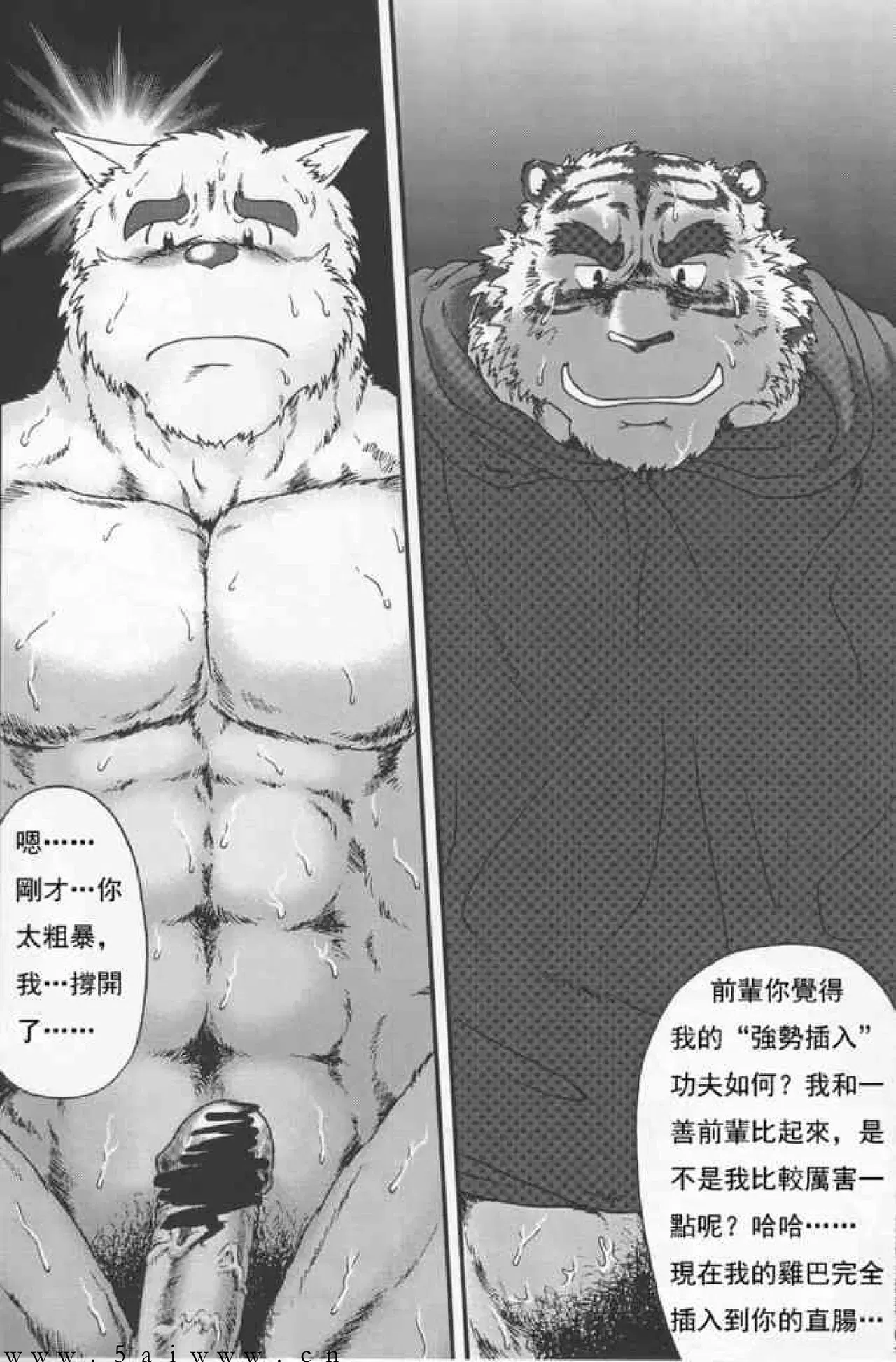 Image #29