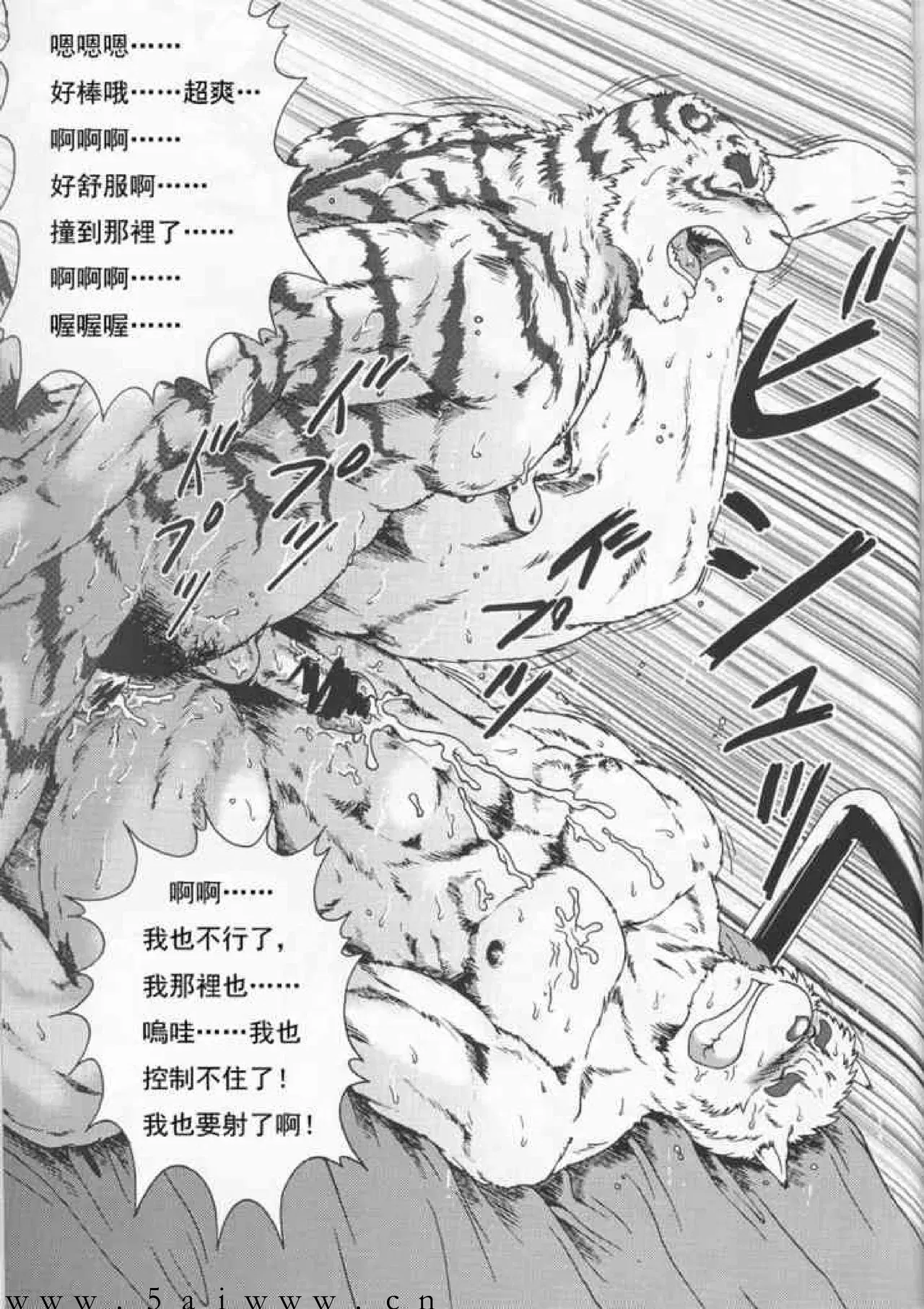 Image #36