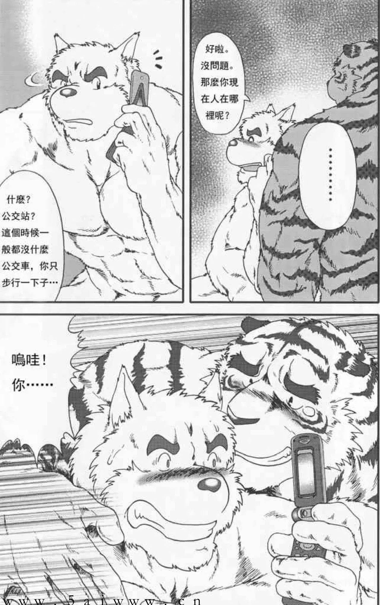 Image #40