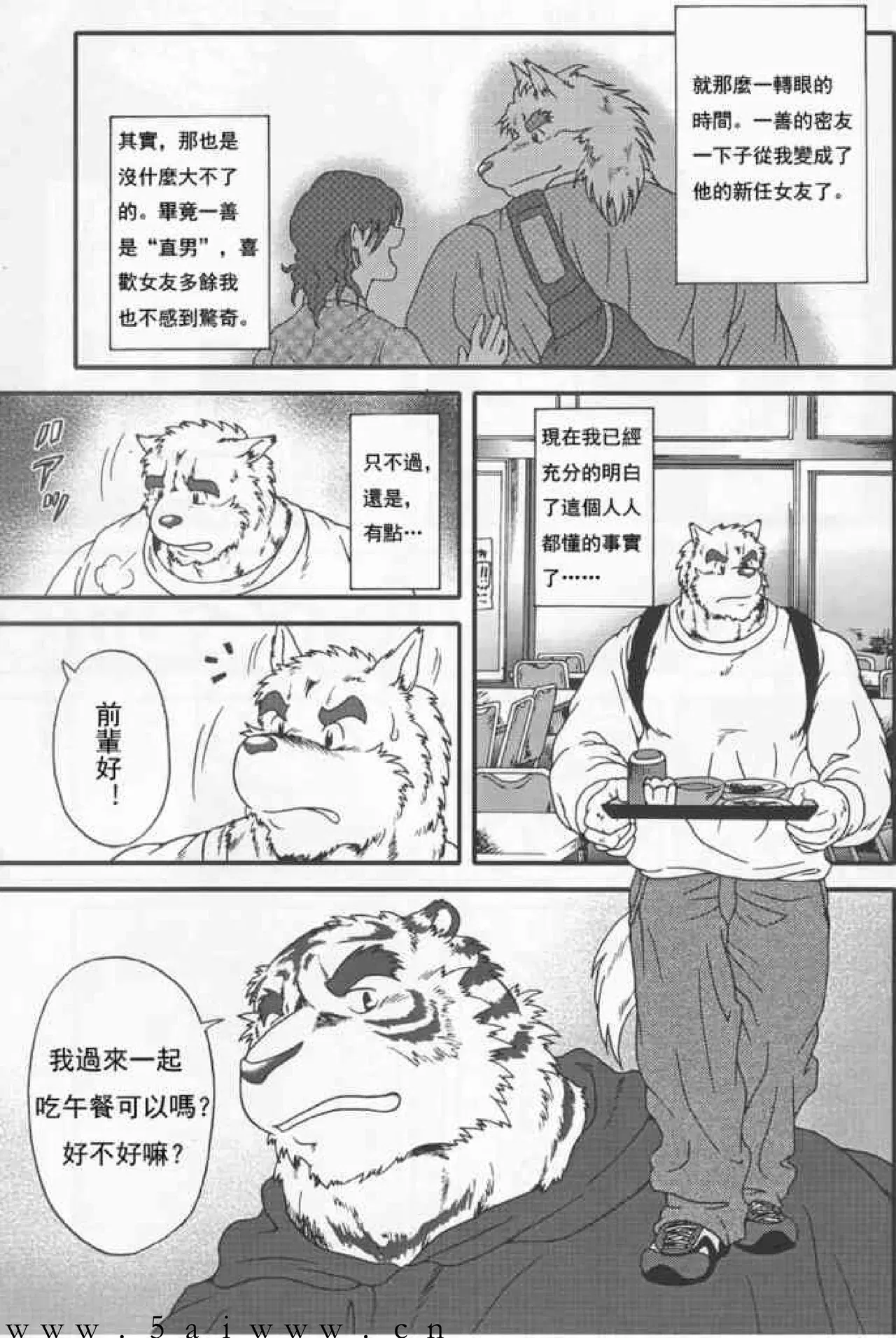 Image #6
