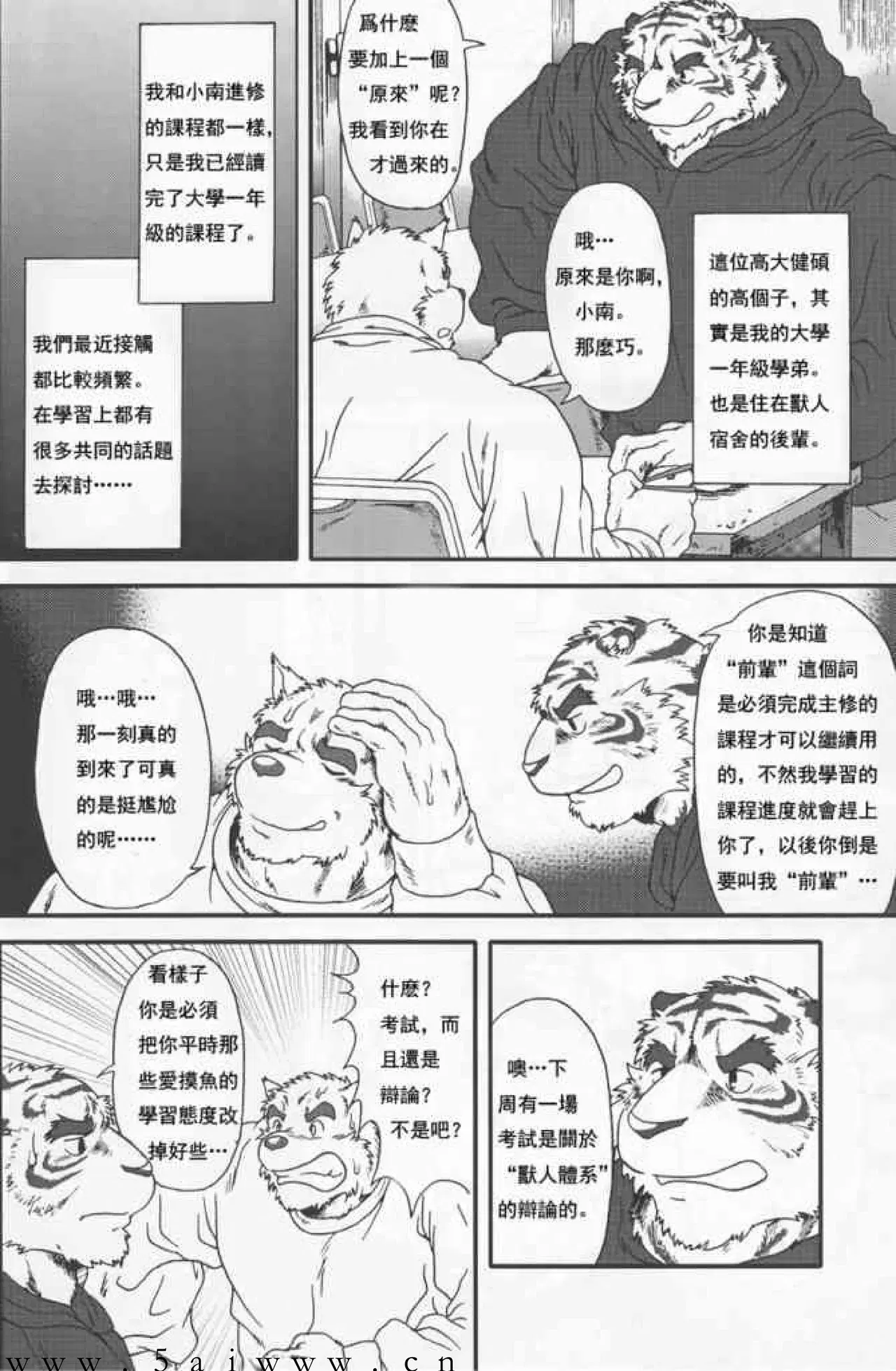 Image #7