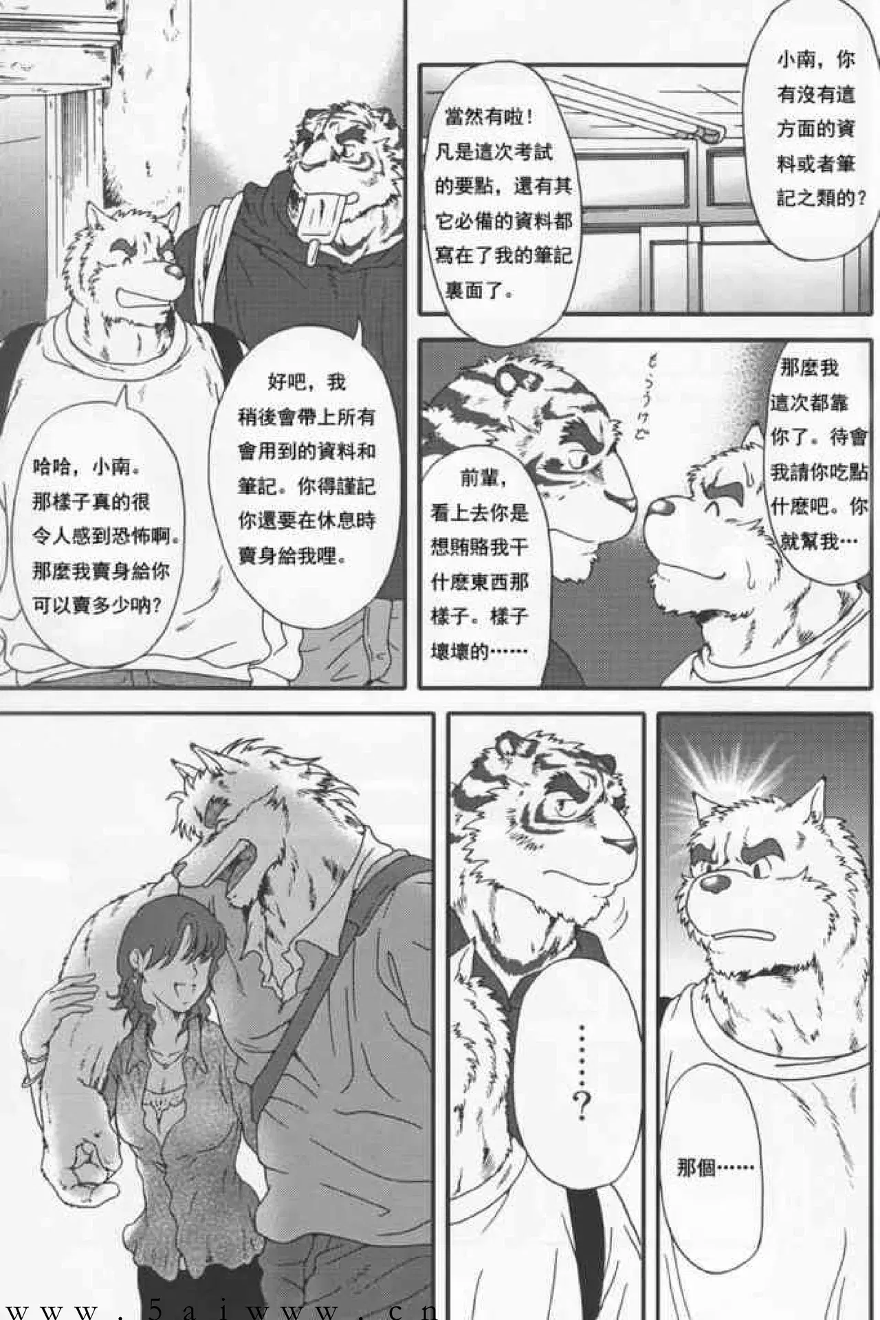 Image #8