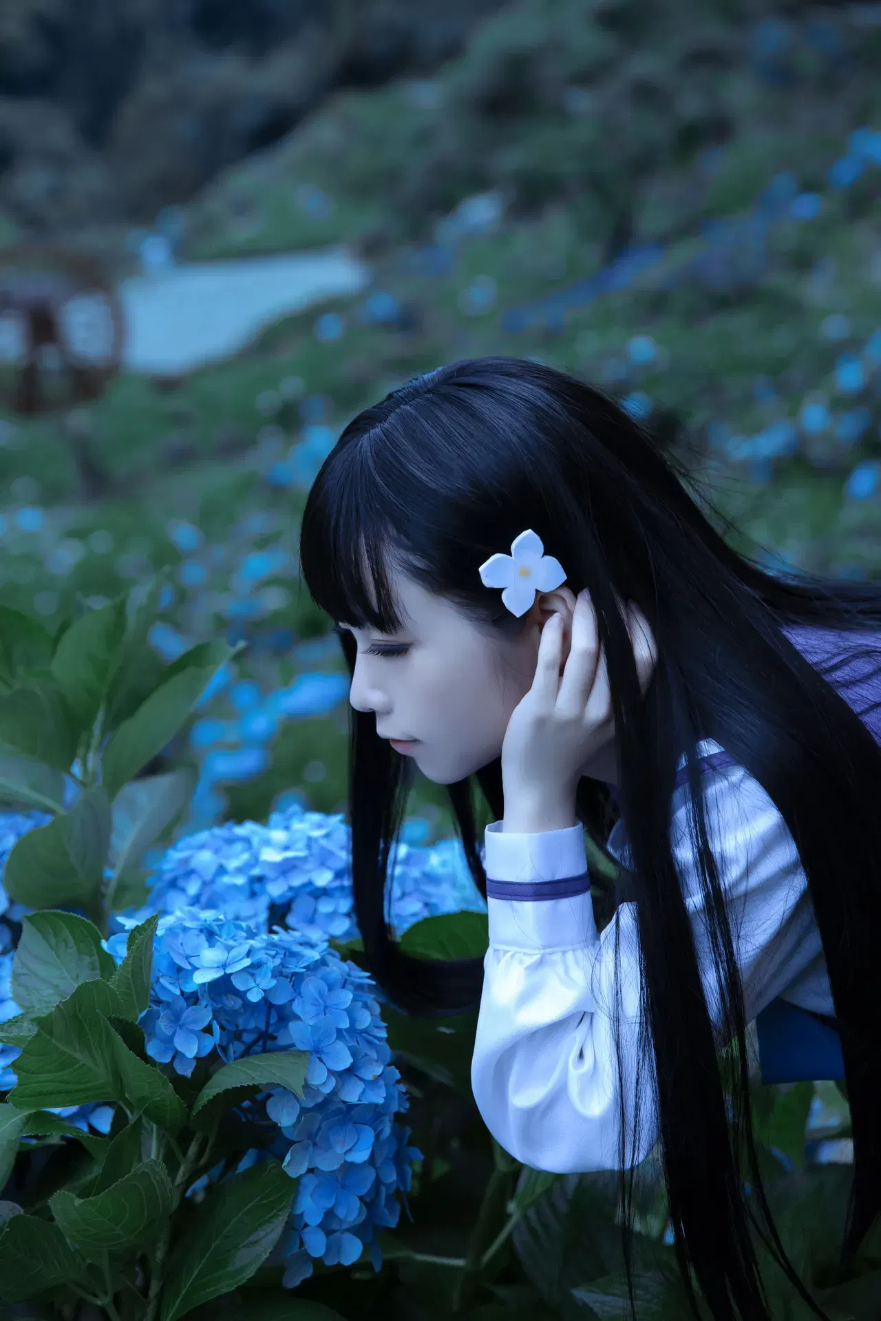 Image #12