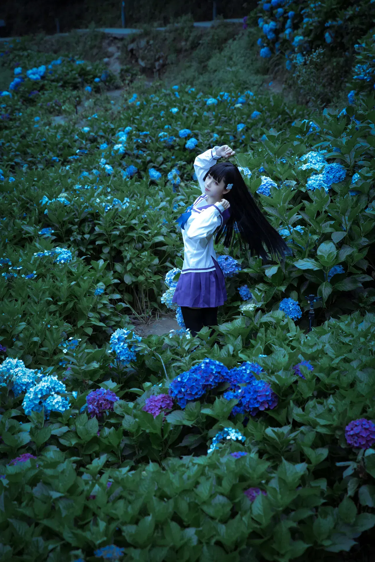 Image #13